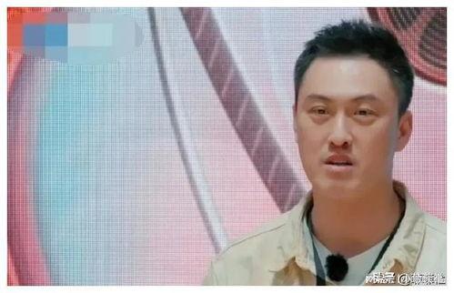 娱乐圈吃瓜爆料封面,吃瓜爆料封面背后的惊人真相